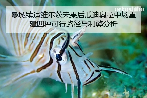 man-cheng-xu-zhui-wei-er-ci-wei-guo-hou-gua-di-ao-la-zhong-chang-chong-jian-si-zhong-ke-xing-lu-jing-yu-li-bi-fen-xi-2-430.jpg
