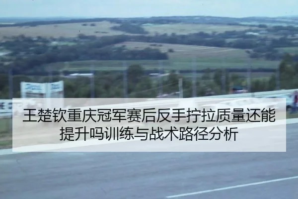 王楚钦重庆冠军赛后反手拧拉质量还能提升吗训练与战术路径分析