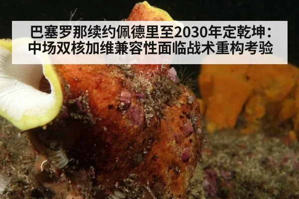 巴塞罗那续约佩德里至2030年定乾坤:中场双核加维兼容性面临战术重构考验
